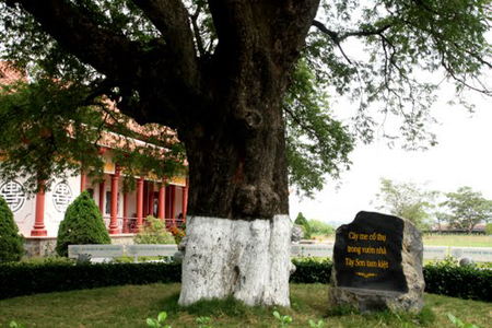 Tại sao anh em nhà Tây Sơn 'nồi da xáo thịt'? (kỳ 1)