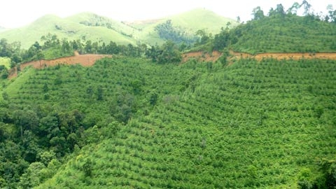 InnovGreen đang làm gì trên biên giới Việt Nam? Kỳ 7