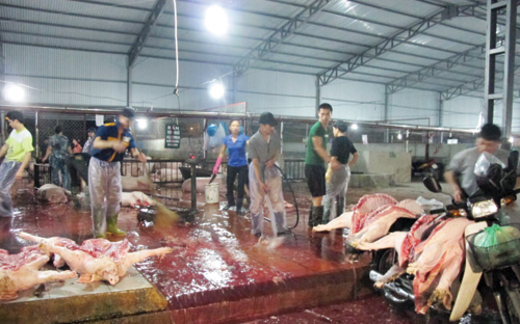 Thịt bẩn tràn ra thị trường
