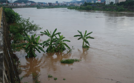 Lào Cai: Lũ cuốn trôi khu tập thể, 14 giáo viên chết và mất tích
