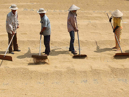 VFA bỏ rơi nông dân