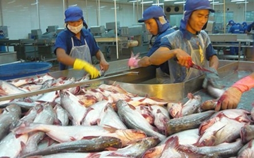 ‘Cù lao bạc tỷ’ xơ xác vì nợ nần