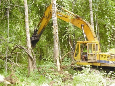 'Vàng trắng' khoắng rừng Tây Nguyên - Kỳ 1