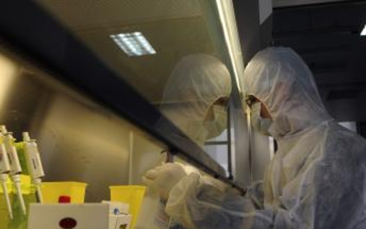 Nhà khoa học Mỹ nghiên cứu vắc-xin phòng virus H7N9 lây từ người sang người