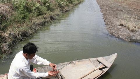 Bi kịch “thừa mặn, thiếu ngọt” ở hạ nguồn