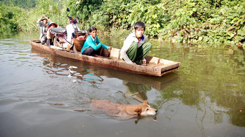 Khổ vì thủy điện