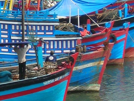 Ngư dân sạt nghiệp