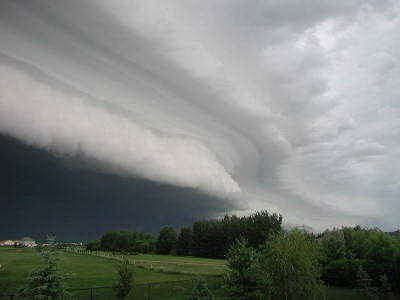 Những bài thơ hay của Czesław Miłosz