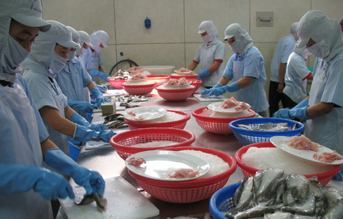 Thuỷ sản Việt Nam: Cần những biện pháp đối phó với rào cản khi vào đất Mỹ