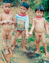 Bản có nhiều thiếu phụ không chồng