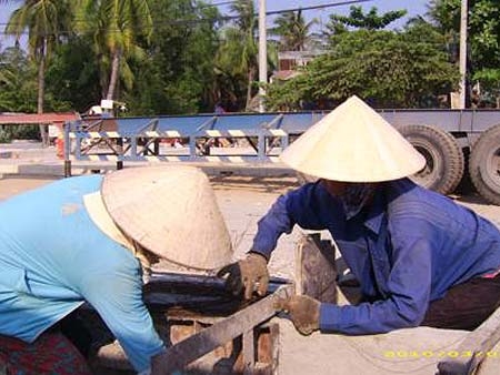 Bóng hồng cô quạnh