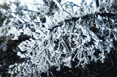 Lạnh âm 0,8 độ C