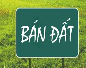 Sài Gòn: Cuộc chiến của vàng với đất