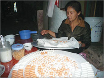 Bánh trôi Bằng Giang