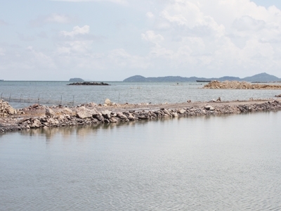 Các siêu dự án của hai siêu tập đoàn và những dấu hỏi