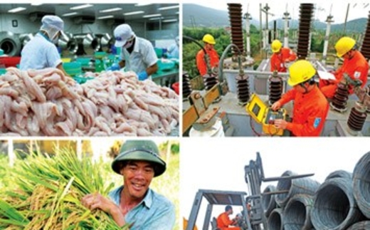 Kinh tế Việt Nam sáng hay xám?