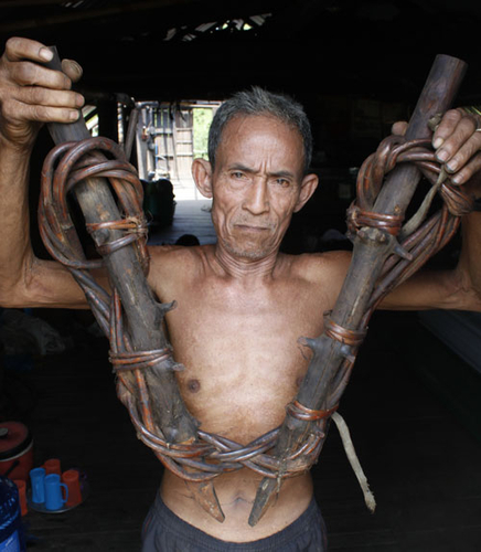 Nước mắt voi rừng - Kỳ 1