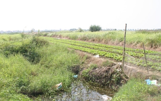 Đốt tiền, chôn chân ở vùng đất mới Mê Linh