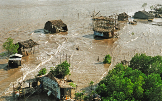 Cà Mau sẽ biến mất?