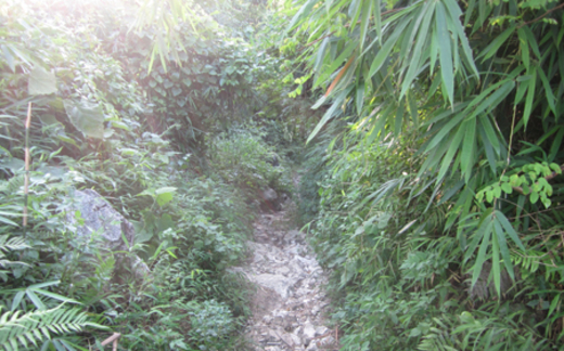 'Thủ phủ' đá quý, chết nghẹn giấc mơ giàu sang