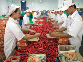 Lương tối thiểu phải đảm bảo nhu cầu tối thiểu