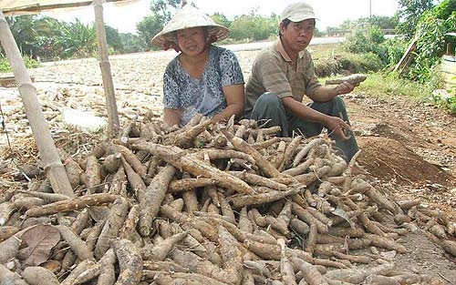 Trung Quốc còn “gom” nông sản kéo dài