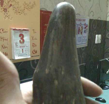 Bóc mẽ "dự án nuôi tê giác lấy sừng" của tội phạm Nam Phi