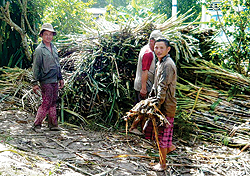 Xếp hàng mua đường