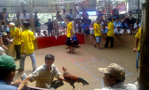 "Dùng tiền mình đốt mình" bằng thác loạn ở Campuchia