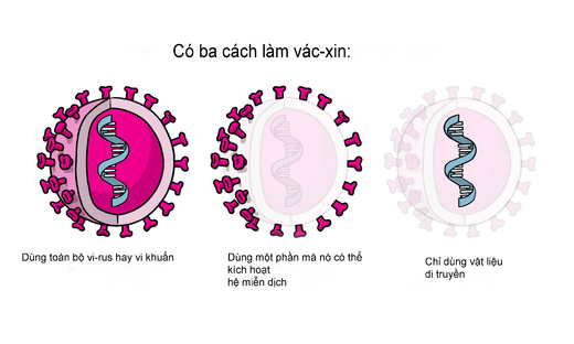 Các dạng vác-xin ngừa COVID-19