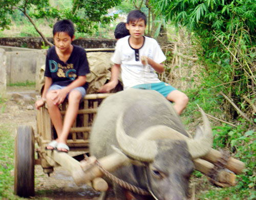 Thanh Hóa: Thực hư truyền thuyết về giếng Vó Vong