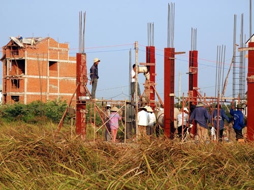Khóc, cười với thuế