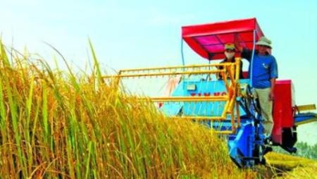 "Thoát thân" theo chiều thẳng đứng