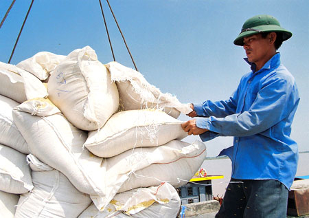 Gạo lại bị đầu cơ?