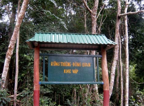 Ly kỳ miếu thiêng ở "bản một họ"