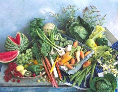 Chế độ ăn cho người bệnh đái tháo đường