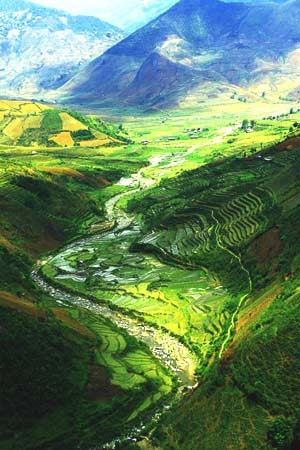 Ruộng bậc thang Mù Căng Chải