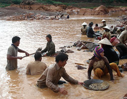 Tàn phá rừng để đào vàng