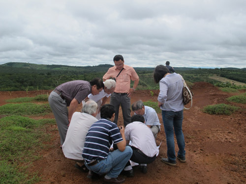 Ngổn ngang dự án bauxite