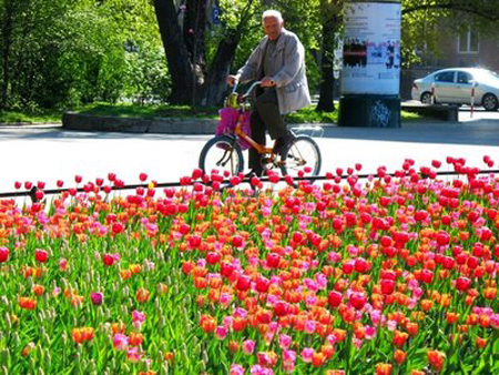 Thơ Xuân người xa quê