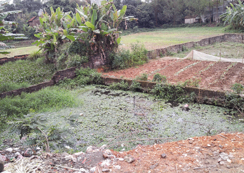 Bắt tạm giam 3 tháng thượng sĩ nổ súng làm một người chết