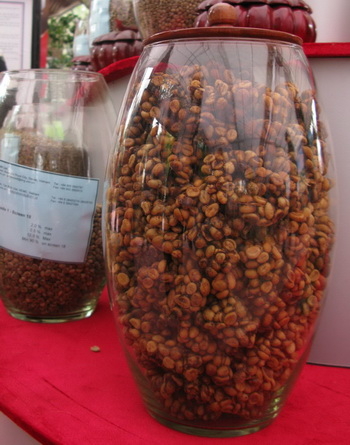 Cà phê vào hội