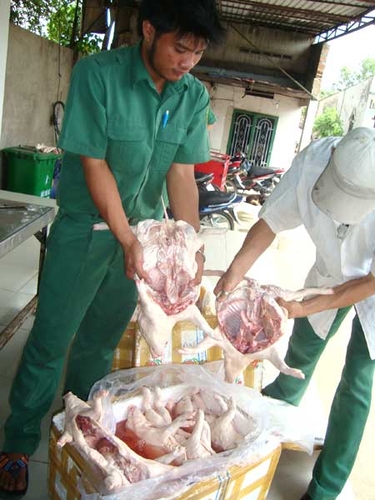 Thịt bẩn lên bàn ăn