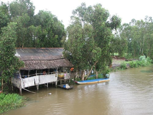 Có nhiều dấu hiệu vi phạm pháp luật