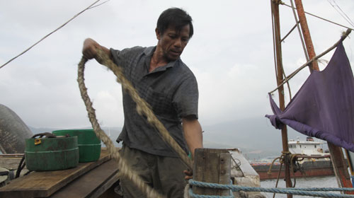 Tị nạn môi trường - Kỳ 9