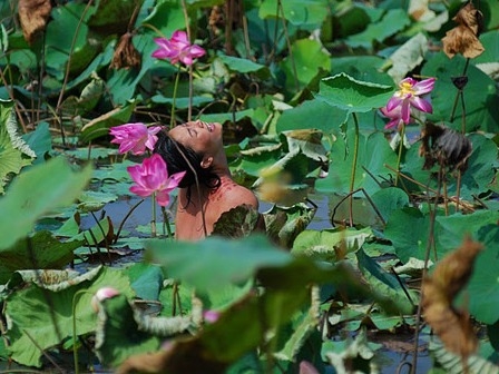 "Cánh đồng bất tận" + & -