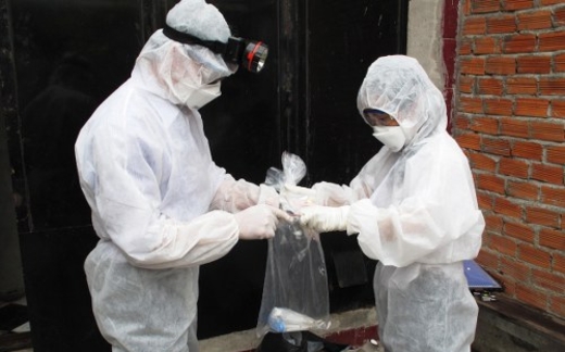 Giết yến cũng không dập được dịch H1N1 như mong muốn!