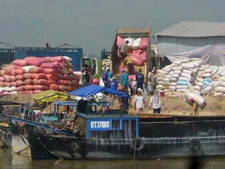 Lúa ngoại “lấn sân”