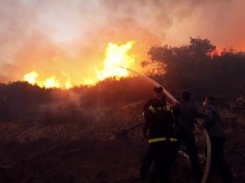 Cháy rừng làm 41 người chết, Israel kêu gọi quốc tế trợ giúp