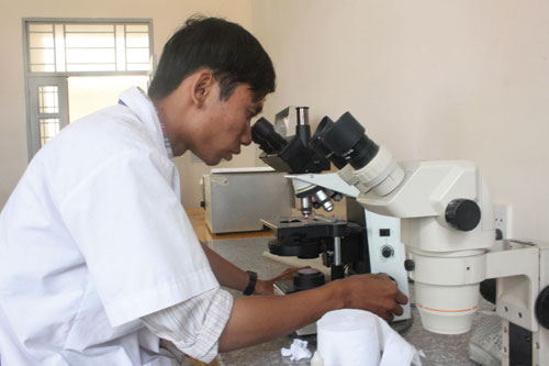 Vật vờ nghiên cứu khoa học